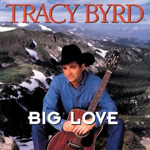 Big Love (Album Version)
