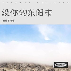 没你的东阳市