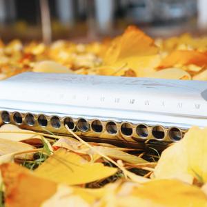 吉他+口琴串烧二