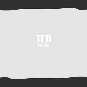 TCD厂牌-TCD爆裂乐章（执法者AUG / Road.行路 remix）