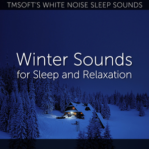 Snow and Ice on a Skylight