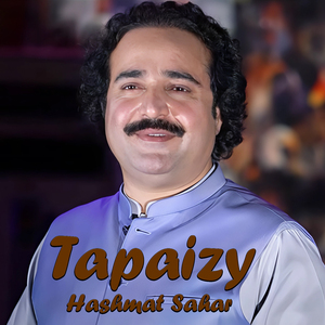 Tapaizy