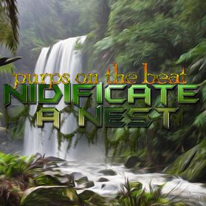 NOTOUSRII (Instrumental) (Instrumental)