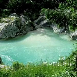 我敬你一杯酒离开