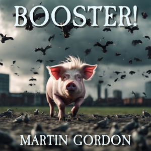 Booster (Greatest Sh!ts guitar version)