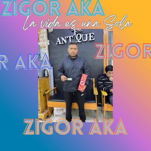 L a vida es una sola