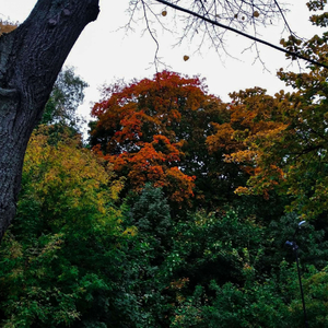 Страсть (Instrumental)