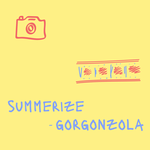 summerize