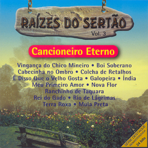 Meu Primeiro Amor (Lejania)