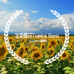 生如夏花（Tropical remix）