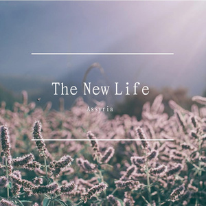 New Life（不能听的黑历史）