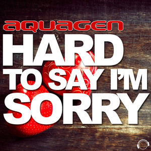 Hard to Say I'm Sorry (New Club Single Edit)