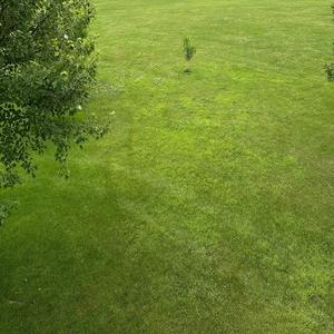 THE LIVING KEY NOTES(RASTA FORCES)