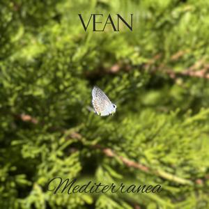 Mediterranea