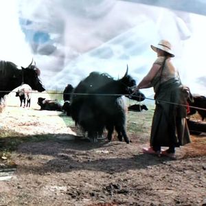 New Car & Sixty Fourth Shoot