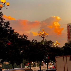 朝の光を感じて