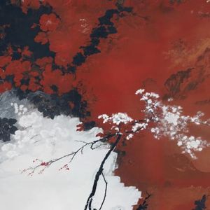 " 映山红 " - GAI周延 × Vinida万妮达 Type Beat