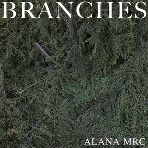 Branches