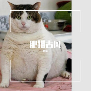 那一天从梦中醒来