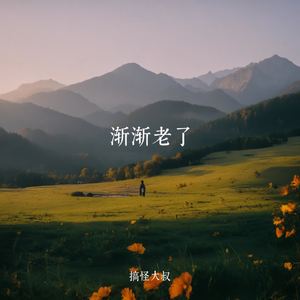 渐渐老了
