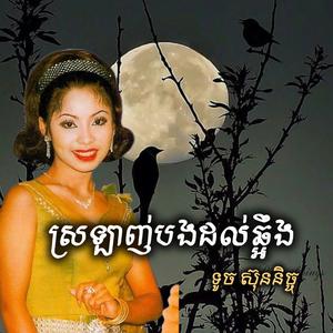 ស្រឡាញ់បងដល់ឆ្អឹង
