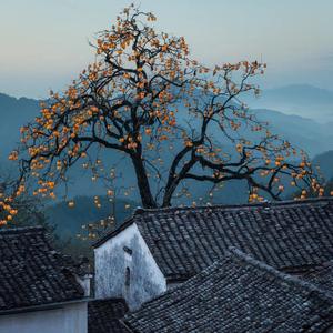 Stay Through The Dust