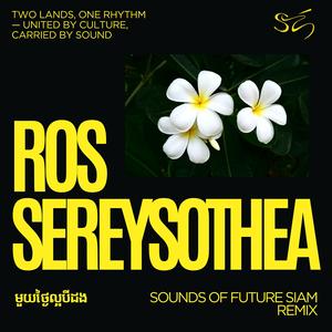 មួយថ្ងៃល្អបីដង (feat. Ros Serey Sothea) (Sounds of Future Siam Remix)
