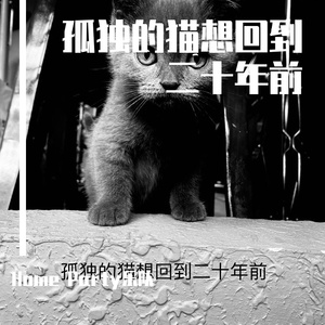 一群被送上太空的猴子wav