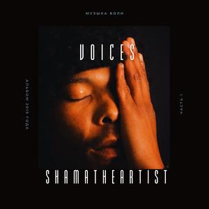 Voices (Hard dance remix)
