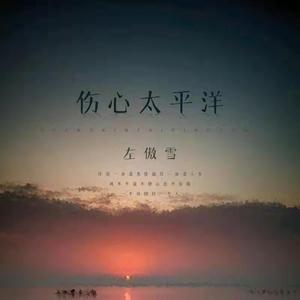 左傲雪 - 伤心太平洋 (抚顺dj阿泽 Radio Edit)