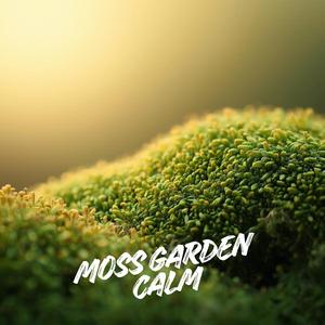 Moss Garden Calm