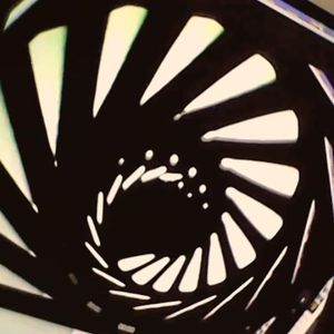 花儿最后盛开的方向