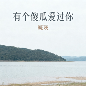 有个傻瓜爱过你