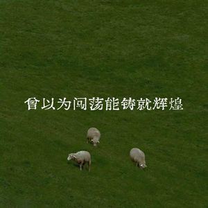 曾以为闯荡能铸就辉煌