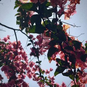 Vínculo (feat. JAZ)