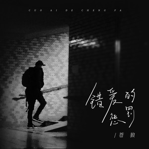 错爱的惩罚 (伴奏)