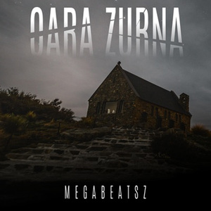 Qara Zurna (Remix)