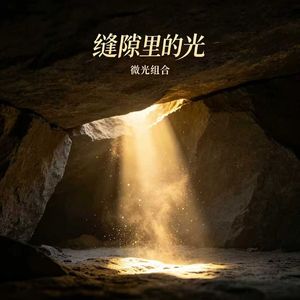 裂缝里的光