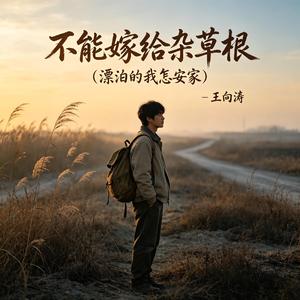 不能嫁给杂草根（漂泊的我怎安家）