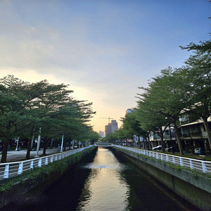 May melody (May version)