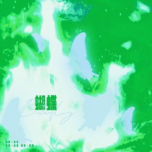 蝴蝶（Cover：张真源）