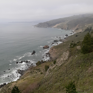 There's Plenty of Fish in the Sea and I'm an Oil Spill