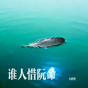 谁人惜阮命