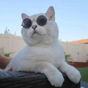 GAZIROVKA-Black (Shnaps & Sanya Dymov & Fei Bo Remix)（Fei Bo remix）