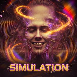 Simulation