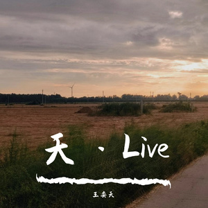 我是真的爱上你