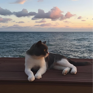 HER ŞEY GÜZEL OLACAK