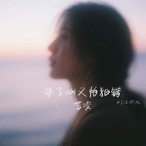 动了心又怕犯错 (DJ浩然版)