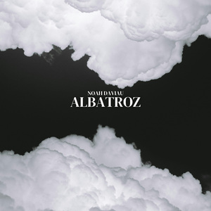 Albatroz