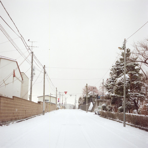 K小姐与黛诗（Cover 兔裹煎蛋卷）